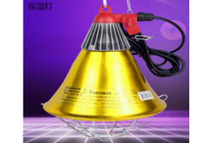 保溫?zé)?、橡膠墊、電加熱板