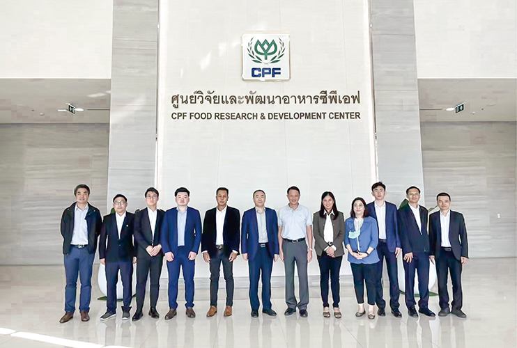 邵董的胳膊_畫(huà)板 1.jpg